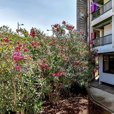 Apartamento Viña del Mar Ocean Playa de las Américas Exterior foto